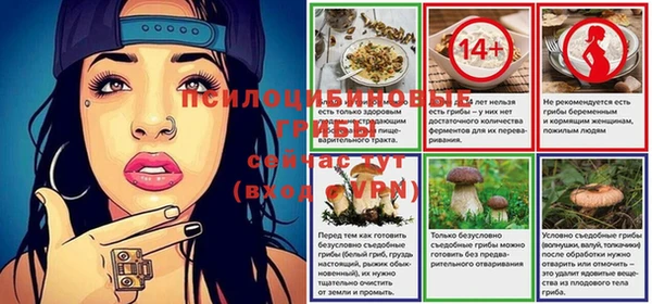 не бодяженный Алексин