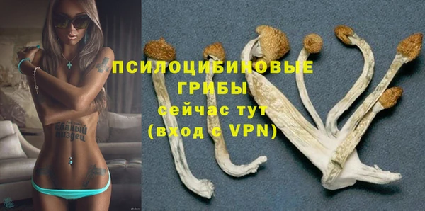 таблы Алексеевка